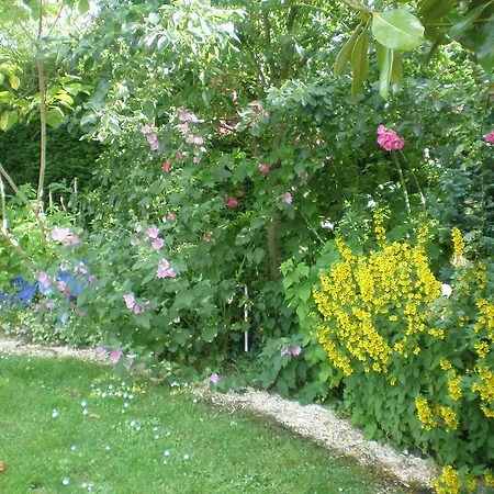 Cottagedeclaids Orval (Cher)